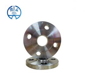 DIN Lapped Flange--JIMENG